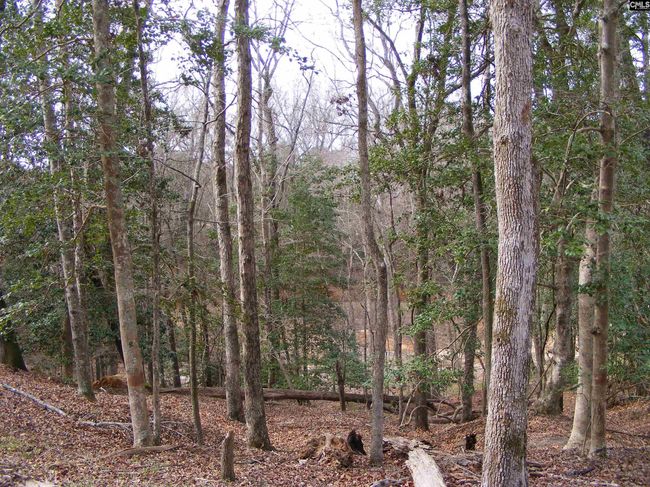 0 Great Circle Drive, Home with 0 bedrooms, 0 bathrooms and null parking in St. Matthews SC | Image 7