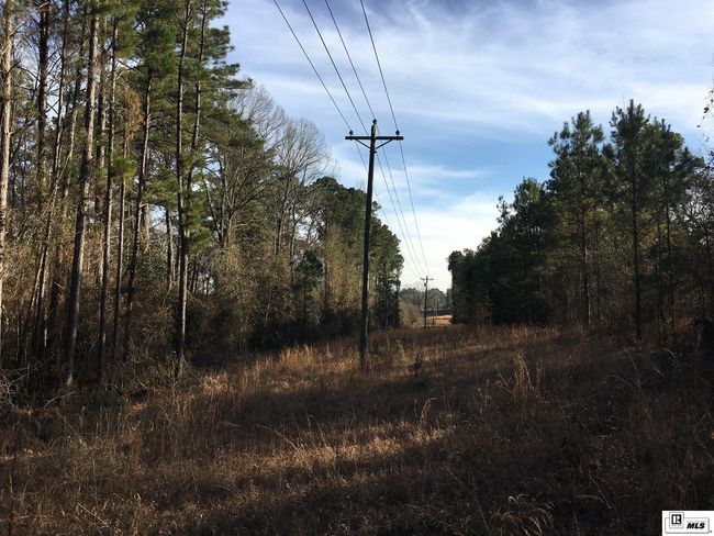 000 Highway 15, Home with 0 bedrooms, 0 bathrooms and null parking in Downsville LA | Image 13