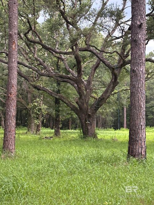 10901 Hall Dr, Axis, AL, 36505-4237 | Card Image