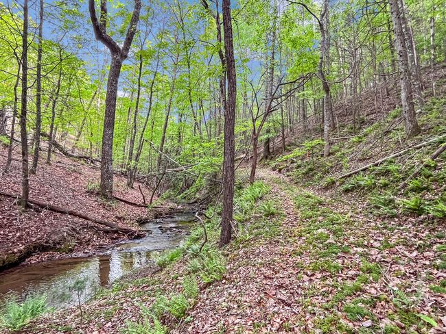 388 Hemlock Ridge Lane, Catawba | Image 89