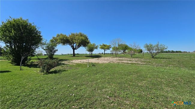 Garden / Orchard | Image 19