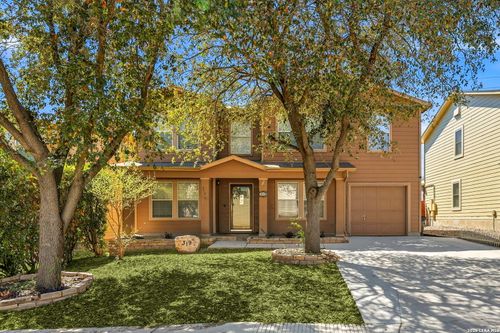 319 Shadbush St, San Antonio, TX, 78245-2797 | Card Image