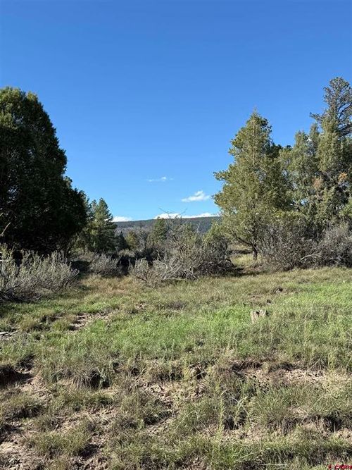 132 Hurt Ln, Pagosa Springs, CO, 81147-7768 | Card Image