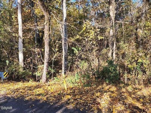 0 Briggs Rd, Dandridge, TN, 37725 | Card Image
