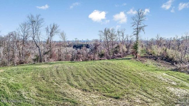 20250707195754236442000000-o | Image 26