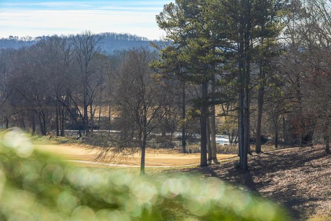 Course Views | Image 33