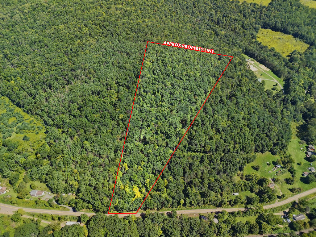 0 River Rd, For Sale in Lindley - eXp Realty