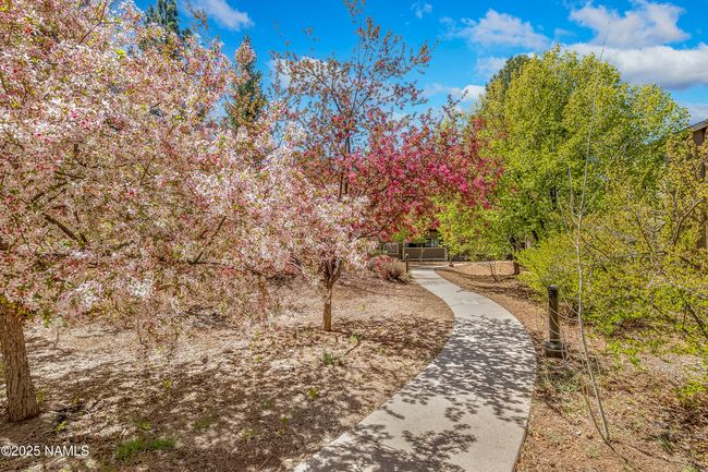 Take a walk throughout the peaceful neighborhood. | Image 23