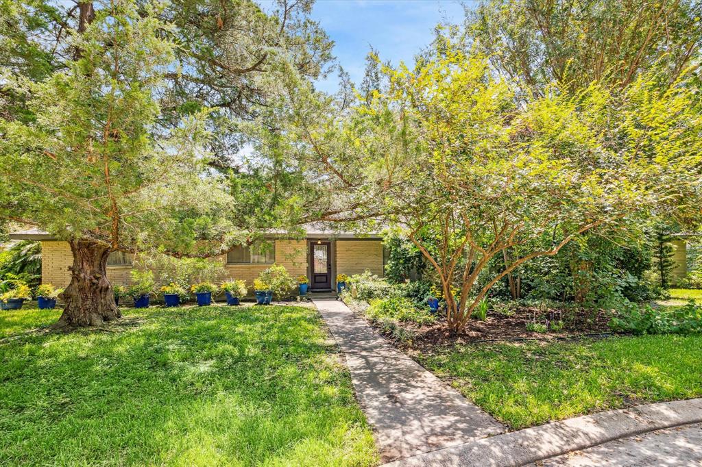 Palm Cir, Alvin, TX 77511