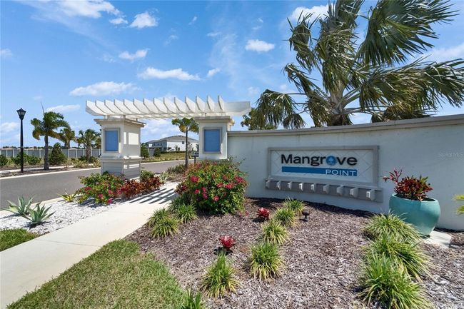 138 Mangrove Shade Cir, Townhouse with 3 bedrooms, 3 bathrooms and null parking in APOLLO BEACH FL | Image 43