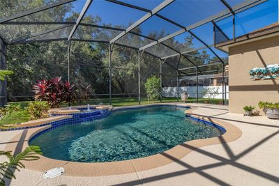 Screened Pool area | Image 2