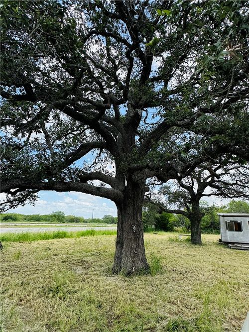 0 County Road 623 & 624, Skidmore, TX, 78389 | Card Image