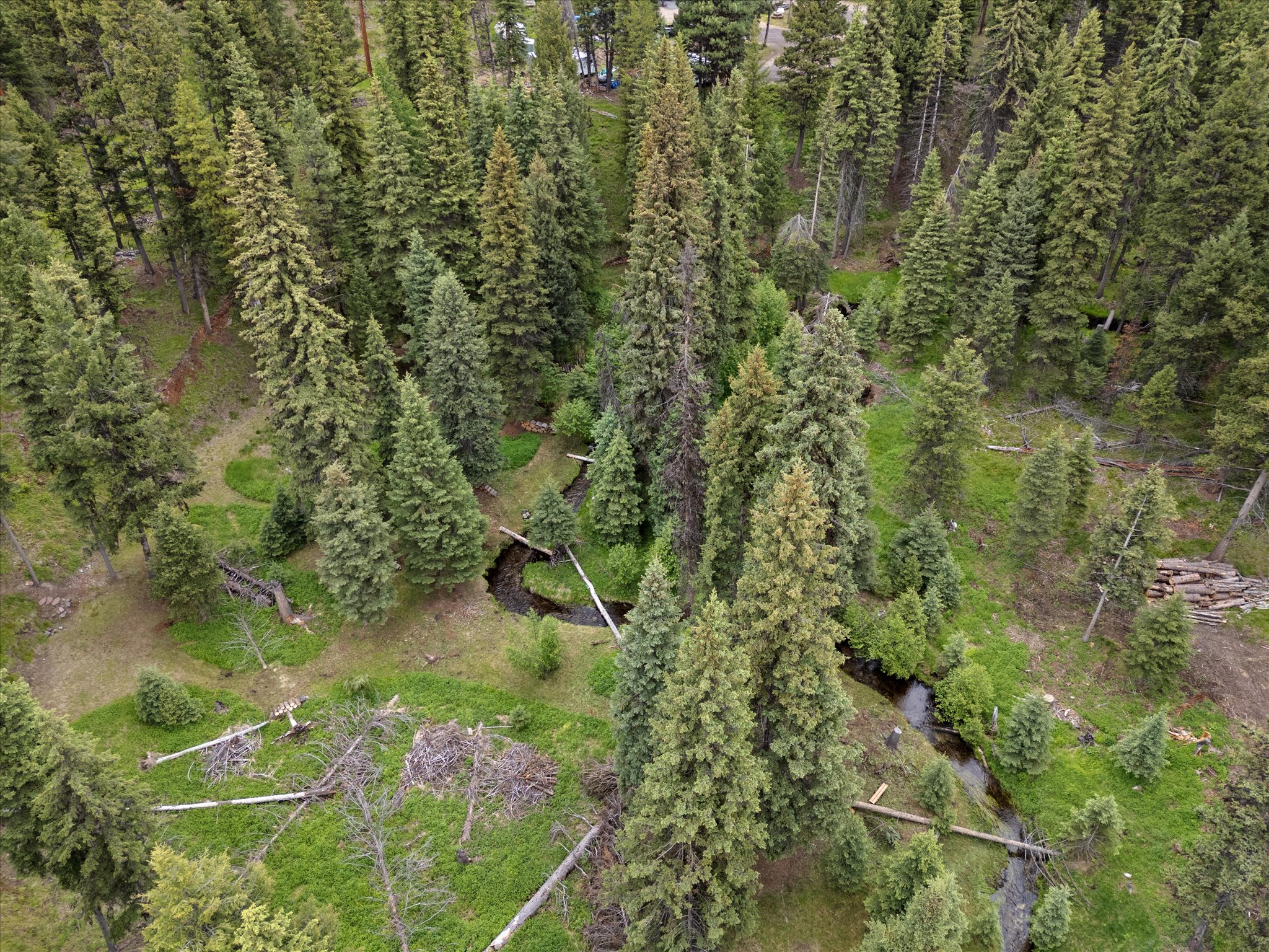 Land in Seeley Lake 2