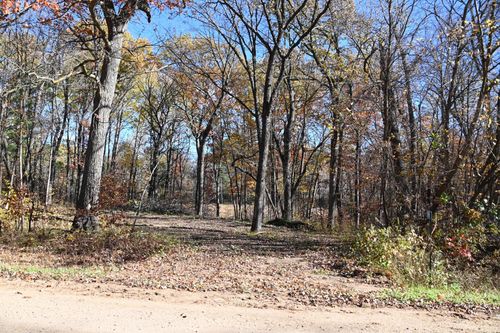 39884 Pine Island Point Dr, Browerville, MN, 56438 | Card Image