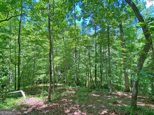 0 Hickory Nut Trl, Dahlonega, GA, 30533 | Card Image