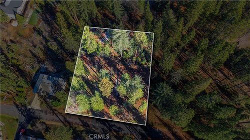 434 Bird Dog Cir, Avery, CA, 95224 | Card Image