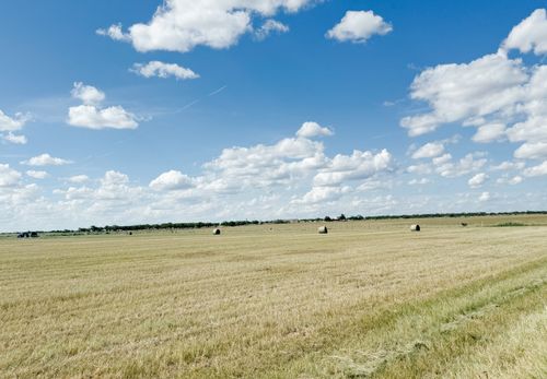 TBD 201Acres County Road 419, Rochelle, TX, 76872 | Card Image