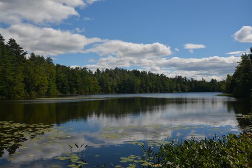 13 Forest Rd, Grantham, NH, 03753-5446 | Card Image