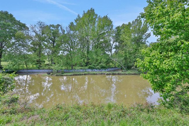 View of the canal | Image 11