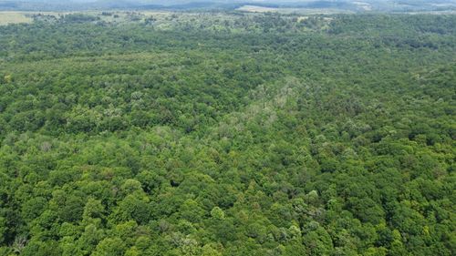 00 Glen Campbell Rd, Glen Campbell, PA, 15742 | Card Image