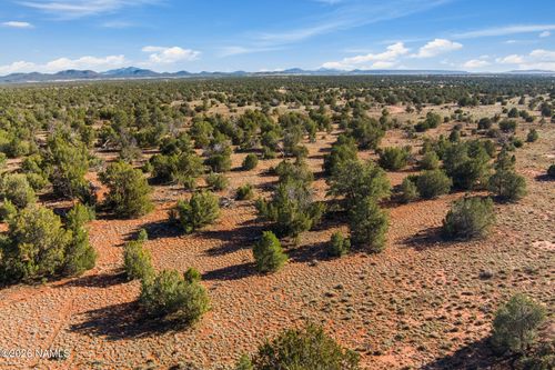 9875 Hawkeye Circle, Williams, AZ, 86046 | Card Image