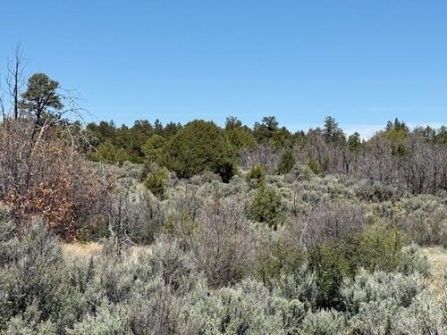 TBD S Calle De Cuervo, Tres Piedras, NM, 87577 | Card Image
