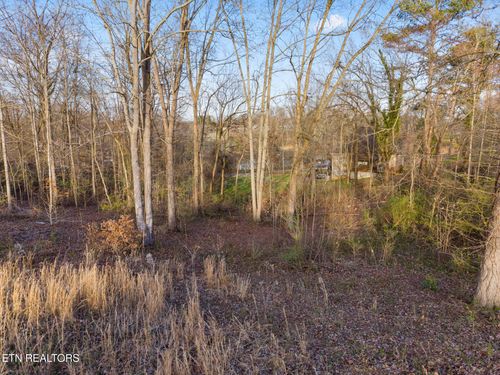 Lot 39 Idlewild Dr, White Pine, TN, 37890 | Card Image