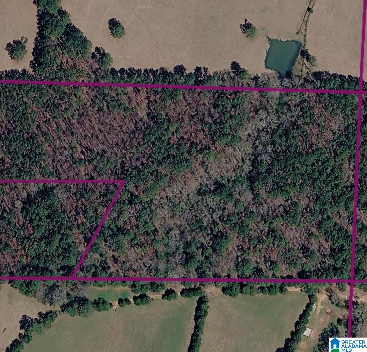 Land in TALLADEGA 2