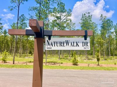 Lot 44 Naturewalk Dr, Home with 0 bedrooms, 0 bathrooms and null parking in Pace FL | Image 3