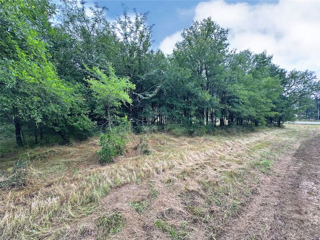 Lot 6 & TBD BTSLP# Emerald Lane, Home with 0 bedrooms, 0 bathrooms and null parking in Corsicana TX | Image 17