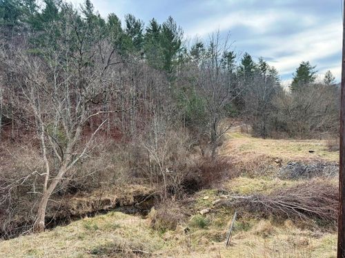 41 acres E Blue Grass Trl, Bland, VA, 24315 | Card Image