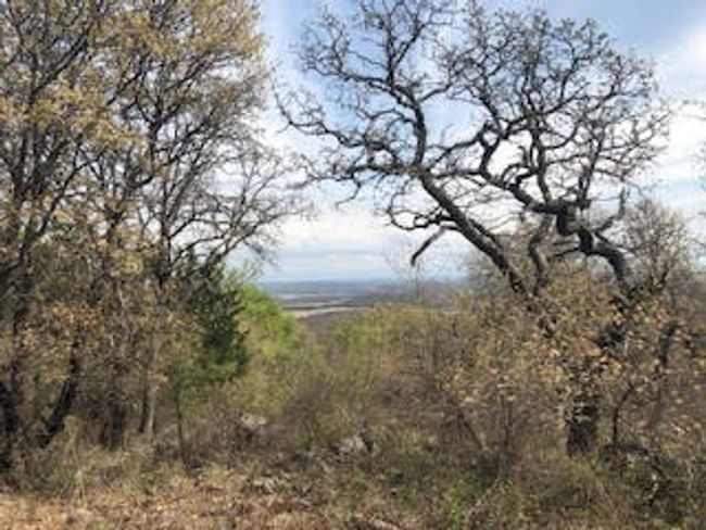 1190 Post Oak Rd, Home with 0 bedrooms, 0 bathrooms and null parking in Gordon TX | Image 5