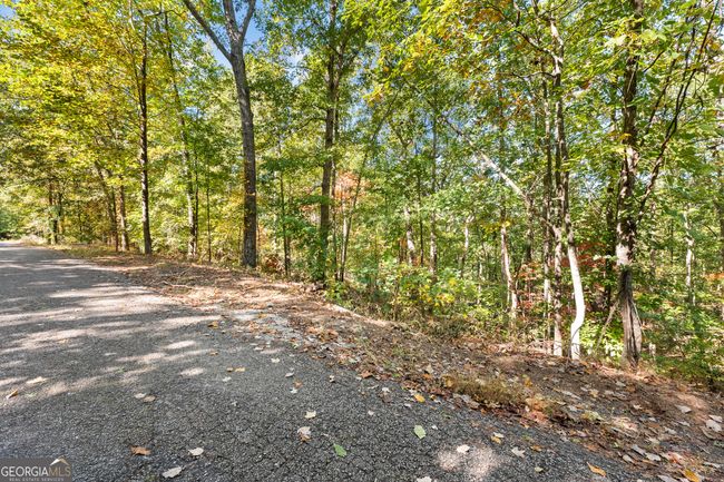 lot 2 Winterberry Lane, Home with 0 bedrooms, 0 bathrooms and null parking in Gainesville GA | Image 30