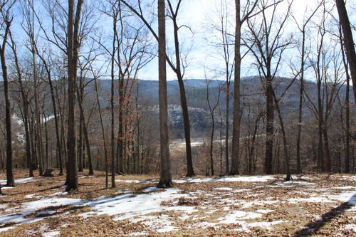 TBD Dogwood Ln, MONTEREY, VA, 24465 | Card Image