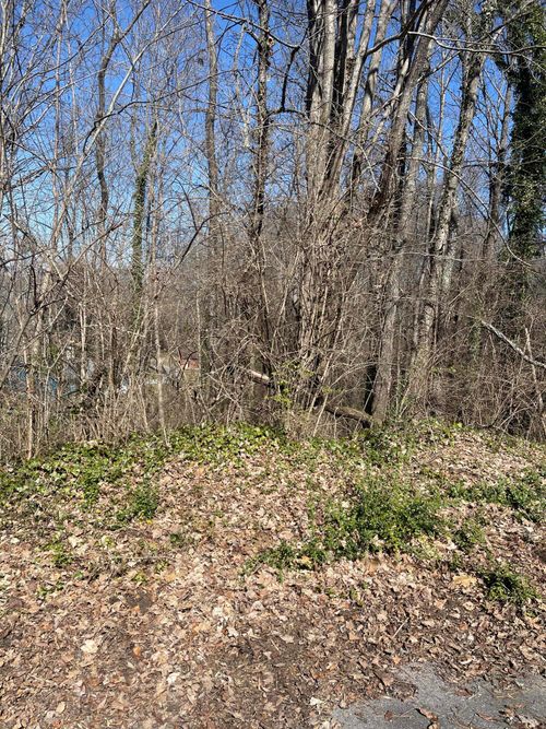 98 Geneva Cir, Morristown, TN, 37813 | Card Image