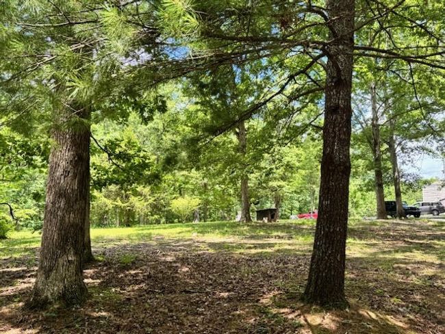 1101 Franklin Loop, House other with 3 bedrooms, 2 bathrooms and 1 parking in Clarkrange TN | Image 11