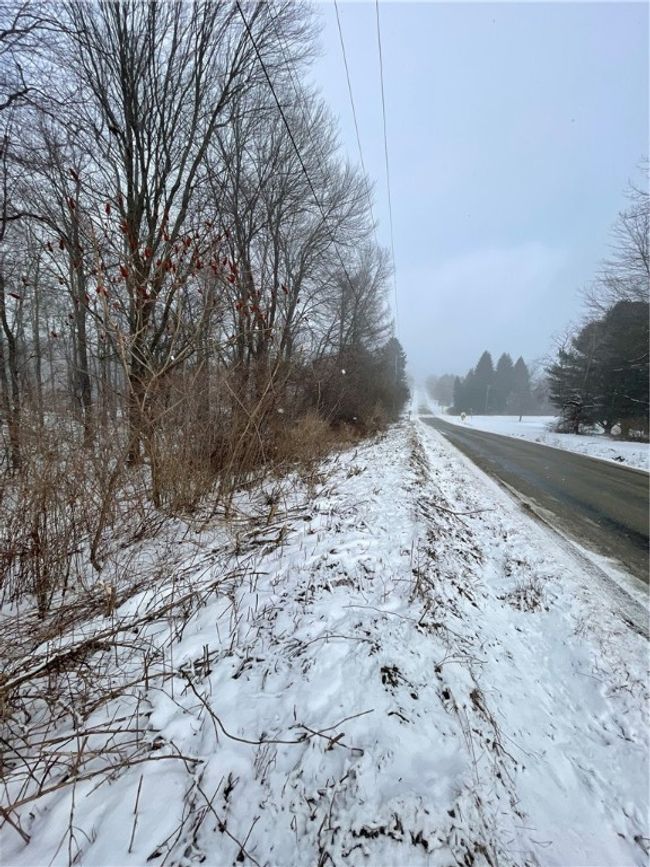 Along Lake Wilhelm Road | Image 17