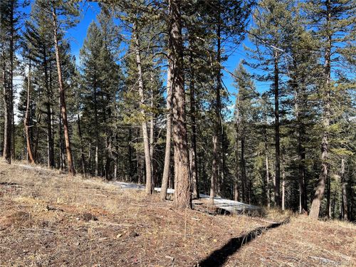 7871 Gold Rush Pl, Morrison, CO, 80465 | Card Image