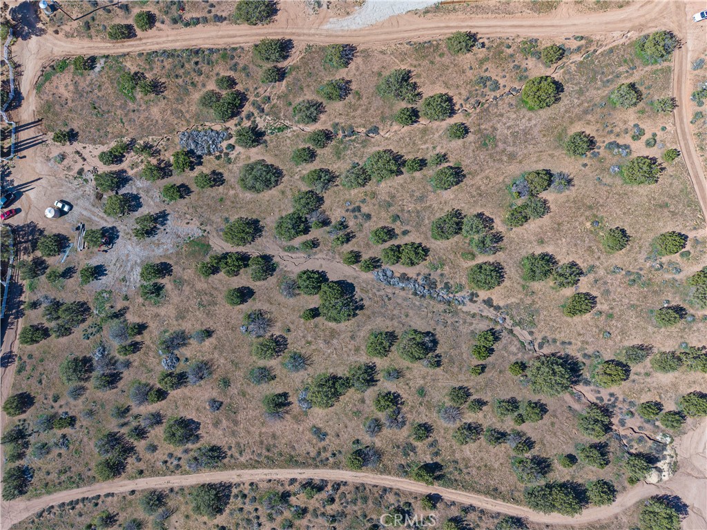 Land in Acton 5
