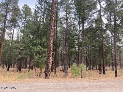 lot-74-afe-000 County Road 2196, Alpine, AZ, 85920 | Card Image