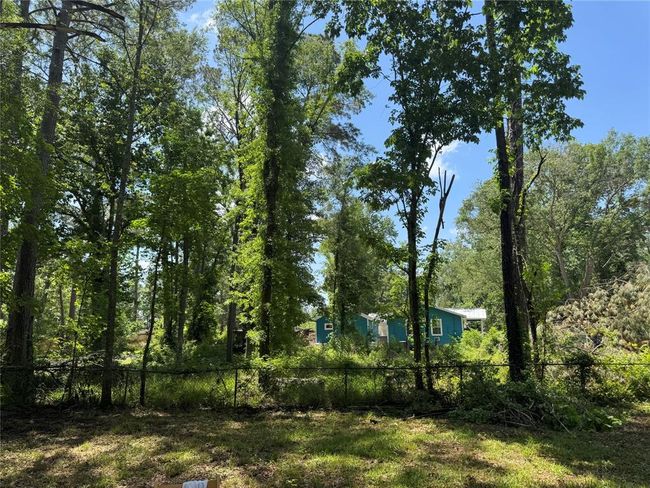 6 Peach Creek Ln, Home with 0 bedrooms, 0 bathrooms and null parking in New Caney TX | Image 6