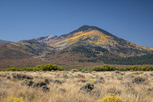 10-121 Deer Creek Rd, La Sal, UT, 84530-7725 | Card Image