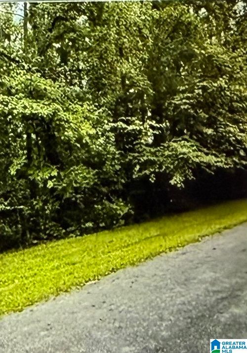 11-LOT 11 Canal Street, Childersburg, AL, 35044 | Card Image