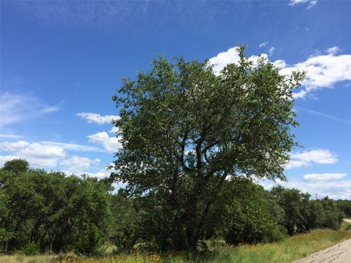 934 Beauchamp Rd, Dripping Springs, TX, 78620-2374 | Card Image