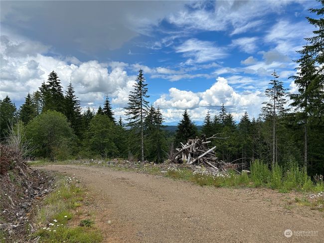 0 NKA 713 Road, Home with 0 bedrooms, 0 bathrooms and null parking in Castle Rock WA | Image 6