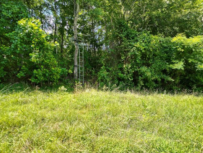 0 Allens Creek Rd, Home with 0 bedrooms, 0 bathrooms and null parking in GLADSTONE VA | Image 27
