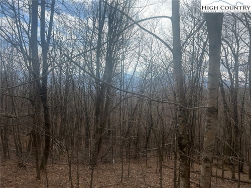 TBD Rainbow Rdg, Zionville, NC, 28698 | Card Image