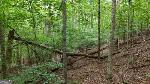 LOT 16 Morris Trl, Cleveland, GA, 30528 | Card Image