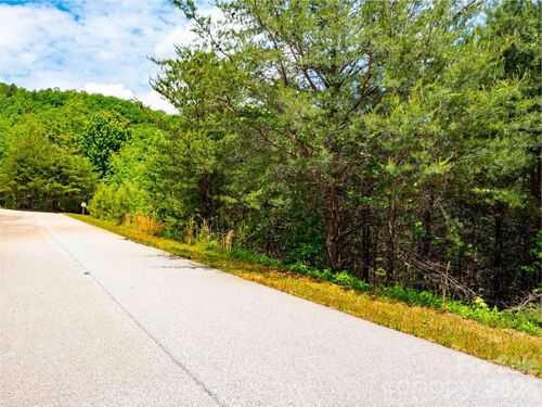 LOT 150 Birkdale Dr, Mill Spring, NC, 28756 | Card Image