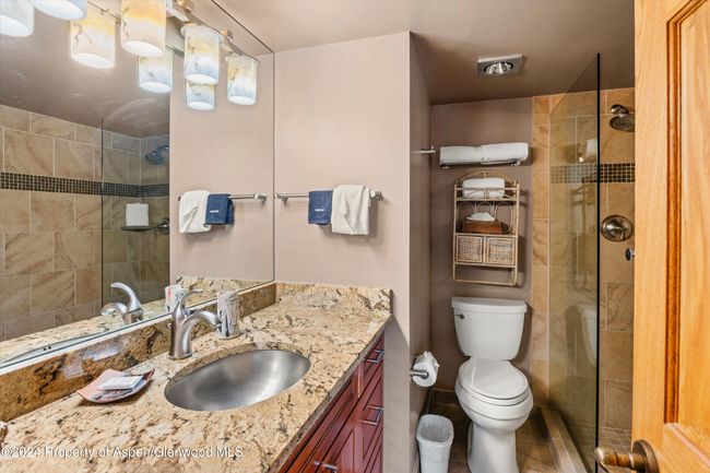 202 - 131 E Durant Ave, Condo with 2 bedrooms, 2 bathrooms and null parking in Aspen CO | Image 8